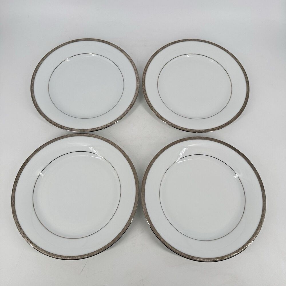 Set of 4 Charter Club Grand Buffet Platinum Rim Porcelain Salad Plates 9.25”